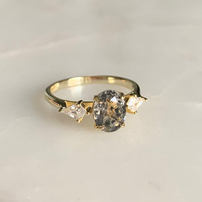 Camille Salt and Pepper Diamond Ring | 14K Yellow Gold Vermeil