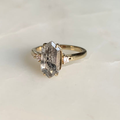 Imogen Salt and Pepper Diamond Ring | 14K Yellow Gold Vermeil